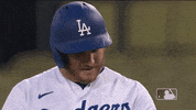 Regular Season Sport GIF by MLB