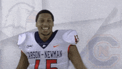 Carson Newman Football GIF by Carson-Newman Athletics