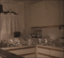 cat counter GIF