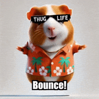 Guinea Pig Bounce GIF by Guinea Gambino