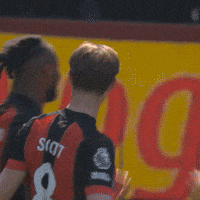 Premier League Football GIF by AFC Bournemouth