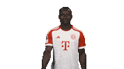 Bayern Munich Football Sticker by Bundesliga