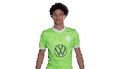 Loving In Love Sticker by VfL Wolfsburg