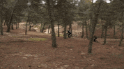 not2bad GIF by EchoBoom Sports