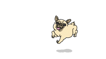 happy dog dancing STICKER