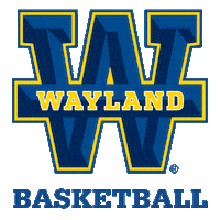 College Basketball Sticker by Wayland Baptist University