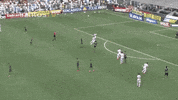 santos fc GIF by Santos Futebol Clube