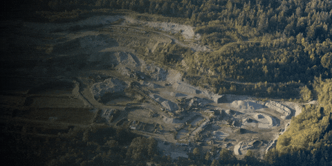 vincenzocarnovale giphygifmaker giphyattribution GIF