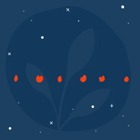 Plant Based Fire GIF by Flora Plant Butter