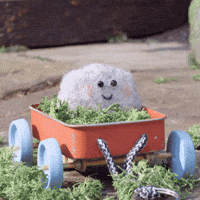 Lets Go Love GIF by Tweedy & Fluff