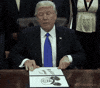 donald trump GIF
