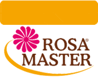 rosamaster rosa master rosamaster plano rosa master Sticker