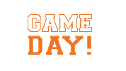 baseball gameday Sticker