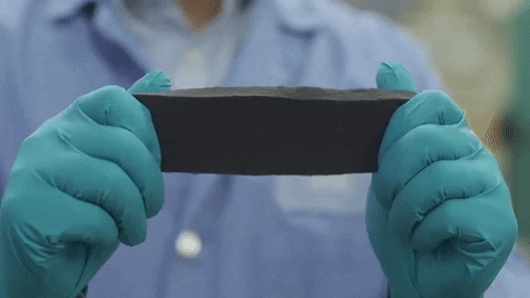 research satisfying GIF by Florida State University