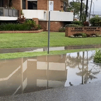 Roads Flooded in Port Macquarie Amid Heavy Rainfall