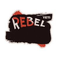grilling bbq sauce Sticker by YETI