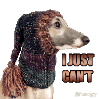 Hat I Just Cant Sticker by normanandpiper