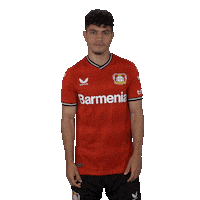 Love And Peace Win Sticker by Bayer 04 Leverkusen