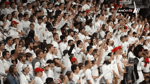 excited cincinnati bearcats GIF by University of Cincinnati Athletics