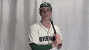 Collegebaseball Ncaadii GIF by RiverHawk Sports