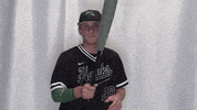 Collegebaseball Ncaadii GIF by RiverHawk Sports