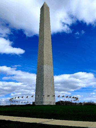 drmichaelpiepkorn giphygifmaker giphyattribution GIF