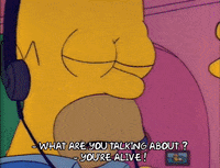 Season 2 GIF by The Simpsons