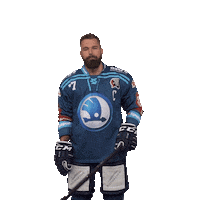 Hockey Hokej Sticker by HC Škoda Plzeň