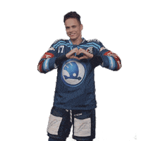 Heart Hockey Sticker by HC Škoda Plzeň