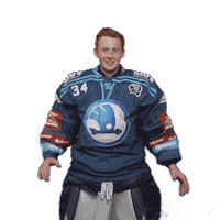 Hockey Applause Sticker by HC Škoda Plzeň