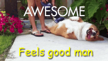 #nico GIF by ARtestpage