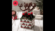 Joyeux Noel Christmas GIF by morning