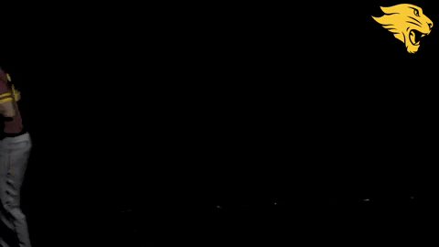 D3B GIF by CUCougars