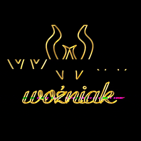 GIF by Wozniak LLC