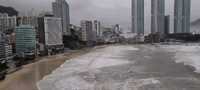 Large Swell in Busan as Typhoon Hinnamnor Makes Landfall