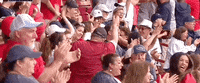 World Series Baseball GIF by NCAA Championships