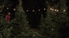 Hallmark Movies And Mysteries Miracles Of Christmas GIF by Hallmark Mystery