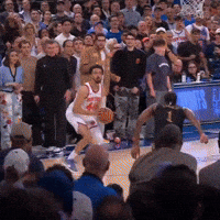 Landry Shamet Knicks GIF