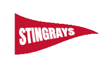 Echl Lets Go Rays Sticker by SCStingrays