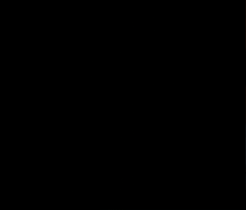 nomin-erdenebatbold giphygifmaker GIF