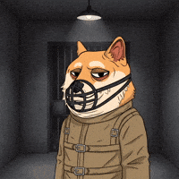 Sad Shiba Inu GIF by Doge Pound