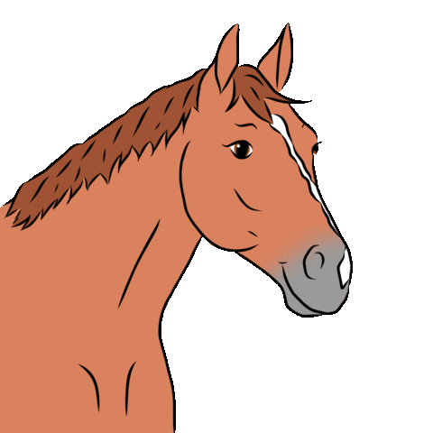 Horse Pony Sticker by Haflinger Steve