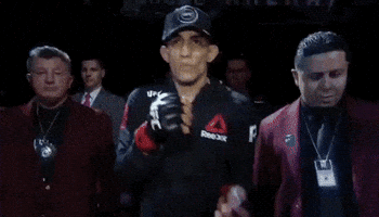 GIF by UFC