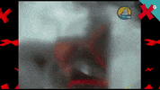 Tea Rio GIF by TVGalicia