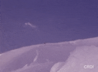 Ski Skiing GIF by CRDI. Ajuntament de Girona