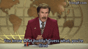 will ferrell anchorman GIF