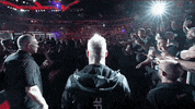 Mixed Martial Arts Sport GIF by UFC