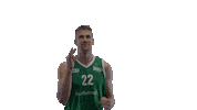 Sport Basketball Sticker by Basket_fi
