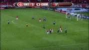 Dale Libertadores GIF by Sport Club Internacional