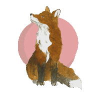 AdelaV fox liska epipi prodejnasradosti Sticker